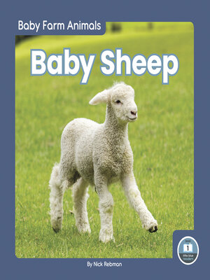 cover image of Baby Sheep